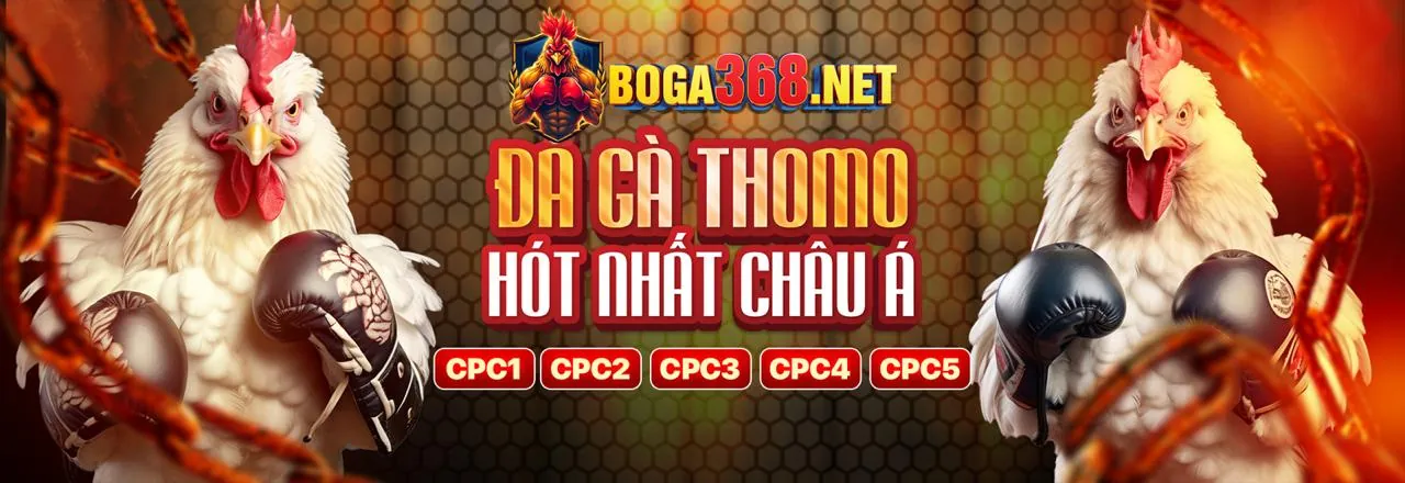 Hình ảnh chính Blog ax88 đá gà, cập nhật tin tức và chiến thuật